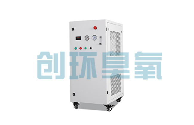 兰州比传统换水更高效?臭氧发生器在石斑鱼养殖中的水质净化原理解析